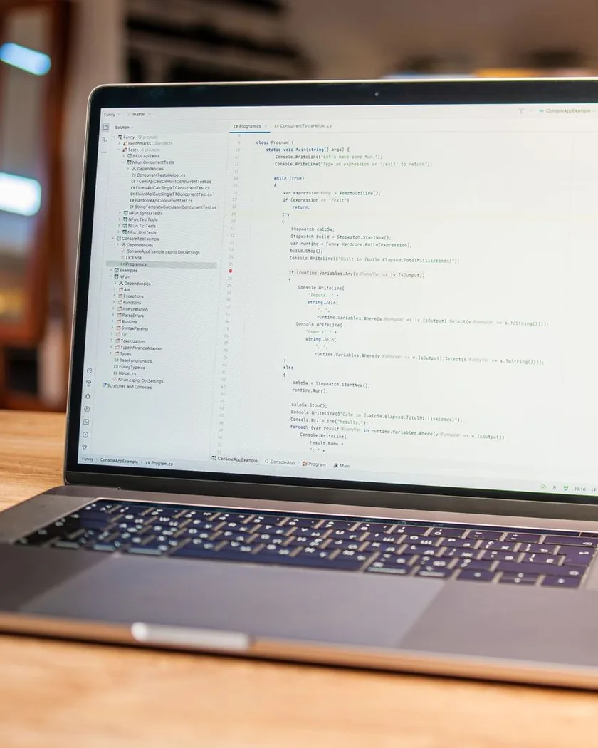 Web development